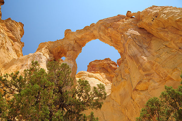 DSC_2530.jpg (4288x2848) NIKON D300 - 18-200mm f/3.5-5.6 // F7,1 // 1/200 sec // ISO 200 // 18,0 mm // no Flash // 2008:07:15 11:55:59 DSC_2530.jpg (4288x2848) NIKON D300 - 18-200mm f/3.5-5.6 // F7,1 // 1/200 sec // ISO 200 // 18,0 mm // no Flash // 2008:07:15 11:55:59